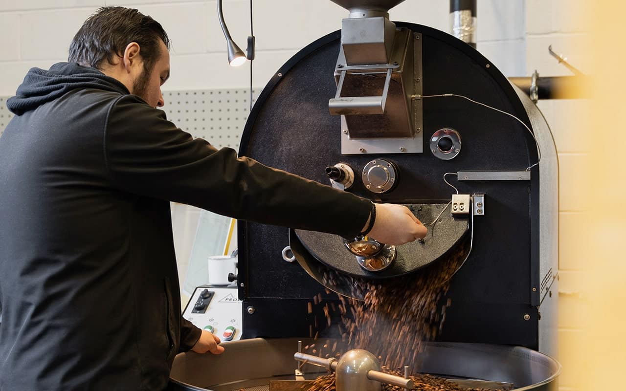 Coffee roaster releasing roasted beans from a roaster.